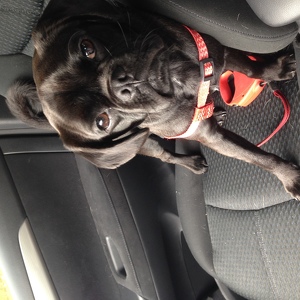 Fundraising Page: Erin Rock